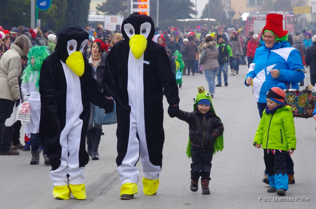 2015-02-17_002_Faschingszug_MP.JPG