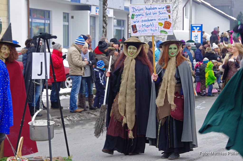 2015-02-17_029_Faschingszug_MP.JPG