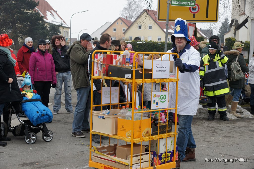 2015-02-17_038_Faschingszug_WP.JPG
