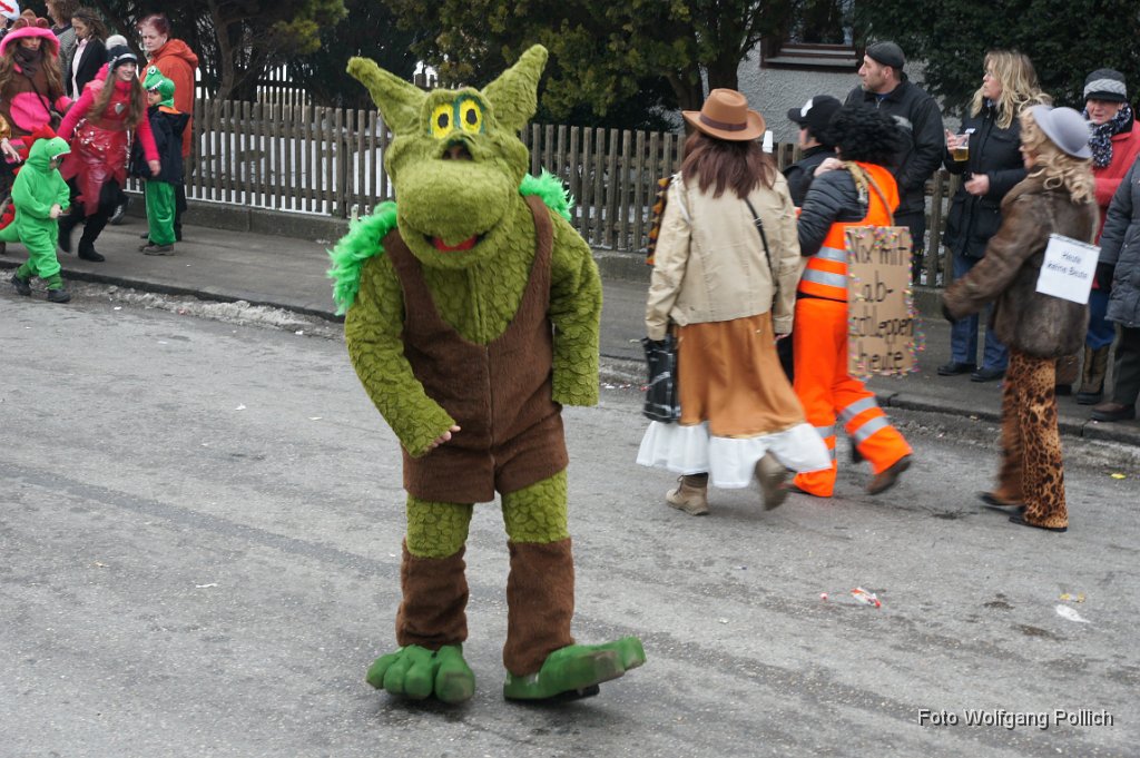 2015-02-17_071_Faschingszug_WP.JPG