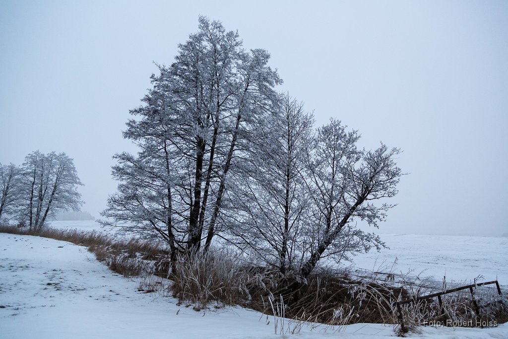 2015-02-31_27_Rauhreif_6812_RH.jpg