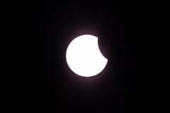 2015-03-20_02_Sonnenfinsternis_im_Haspelmoor_4409_RH