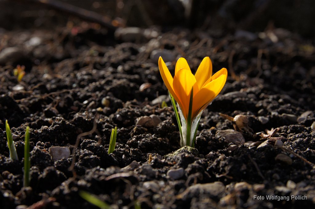 2015-03-31_005_Impressionen_Maerz_WP.JPG