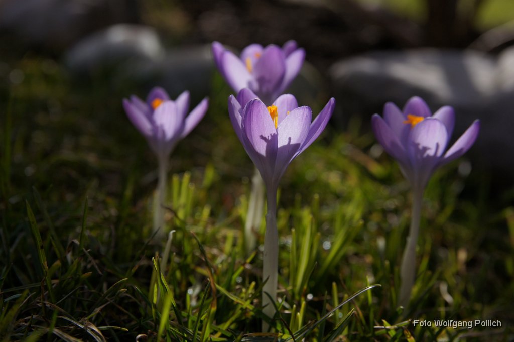2015-03-31_006_Impressionen_Maerz_WP.JPG