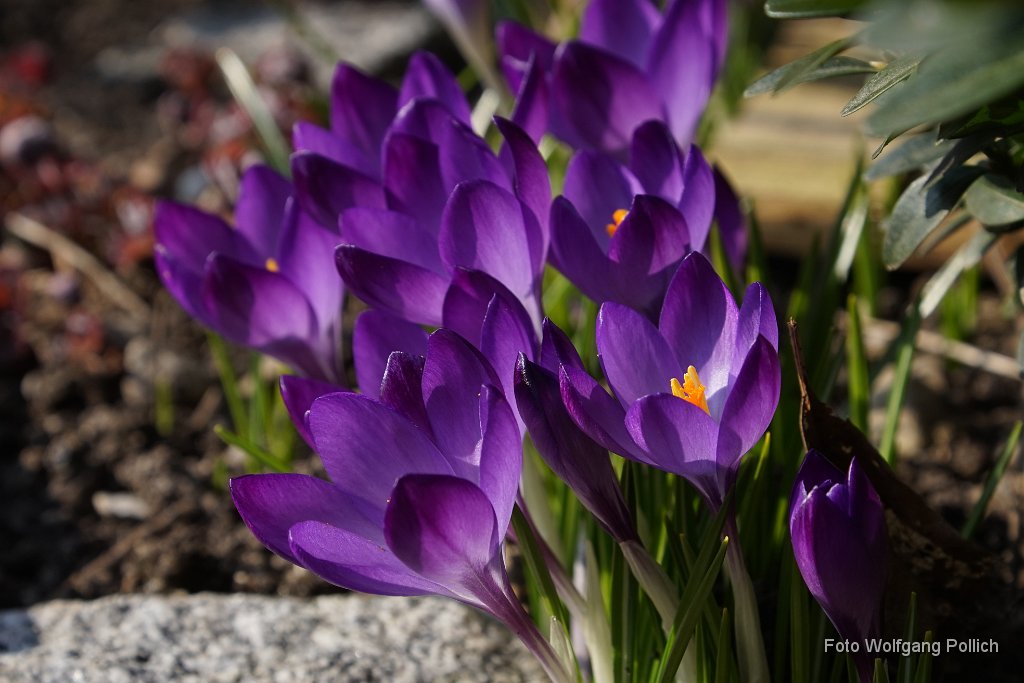 2015-03-31_007_Impressionen_Maerz_WP.JPG