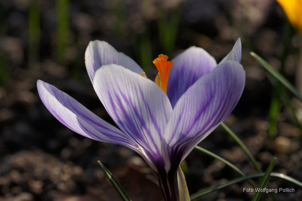 2015-03-31_008_Impressionen_Maerz_WP.JPG