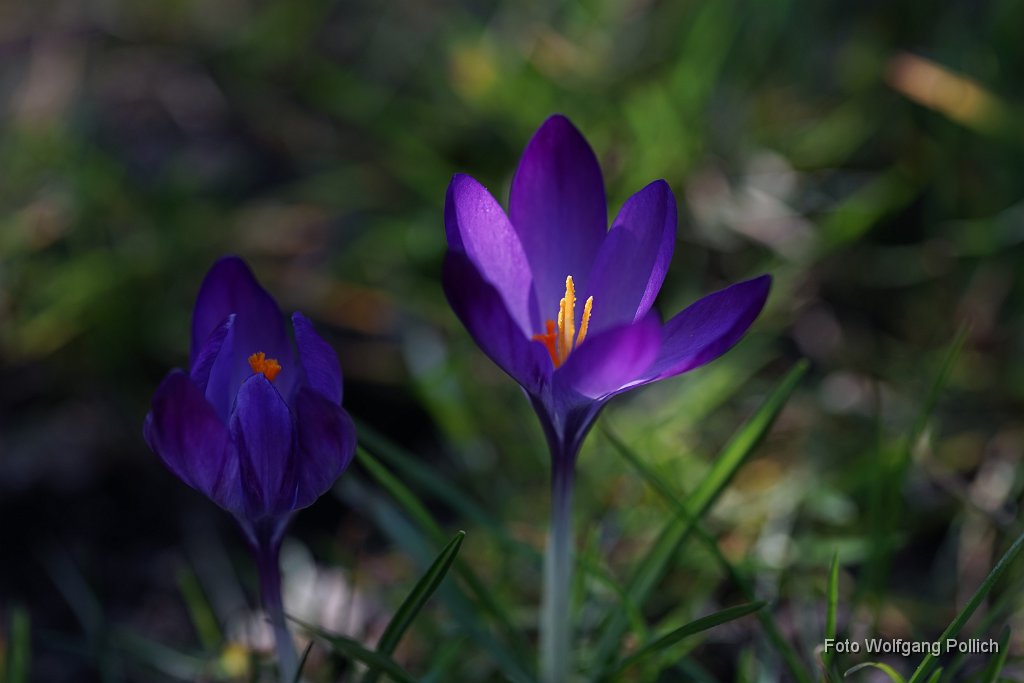 2015-03-31_009_Impressionen_Maerz_WP.JPG