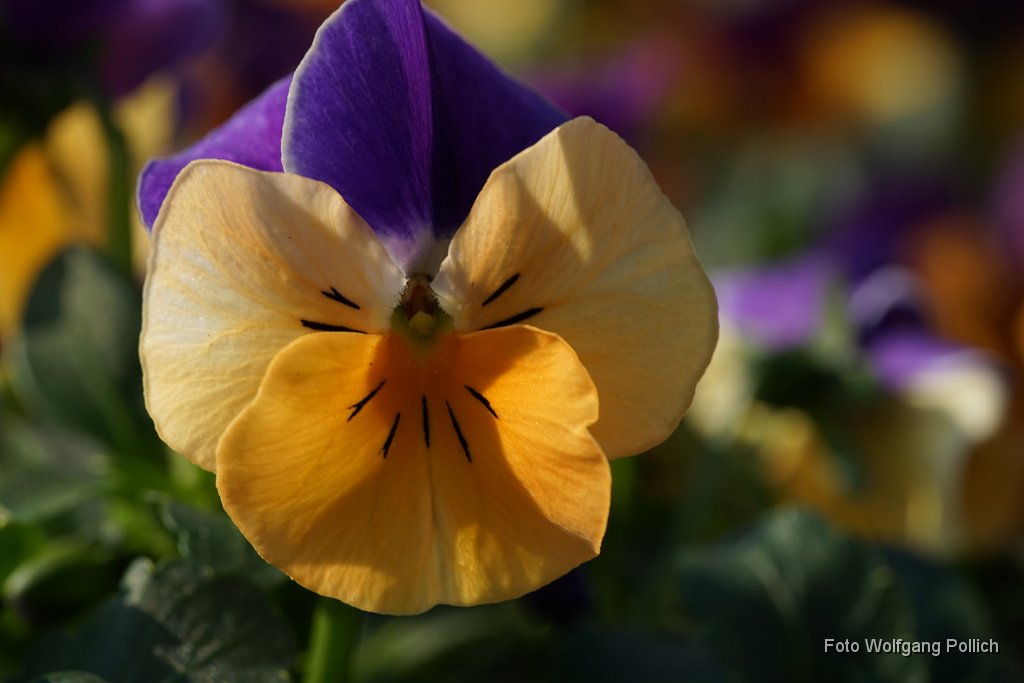 2015-03-31_012_Impressionen_Maerz_WP.JPG