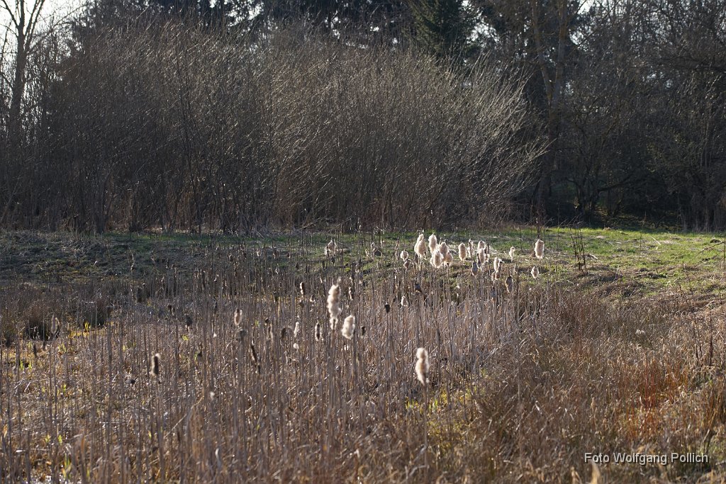 2015-03-31_024_Impressionen_Maerz_WP.JPG