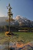 2015-04-09_05_Hintersee_RM_1070