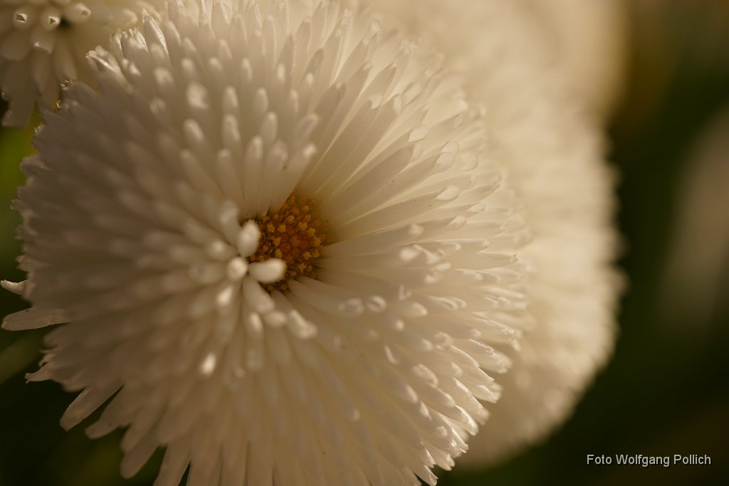 2015-04-30_000_Impressionen_April_WP.JPG