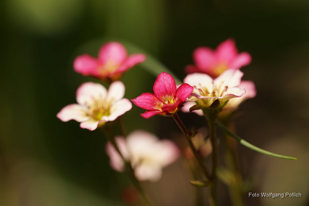 2015-04-30_032_Impressionen_April_WP.JPG