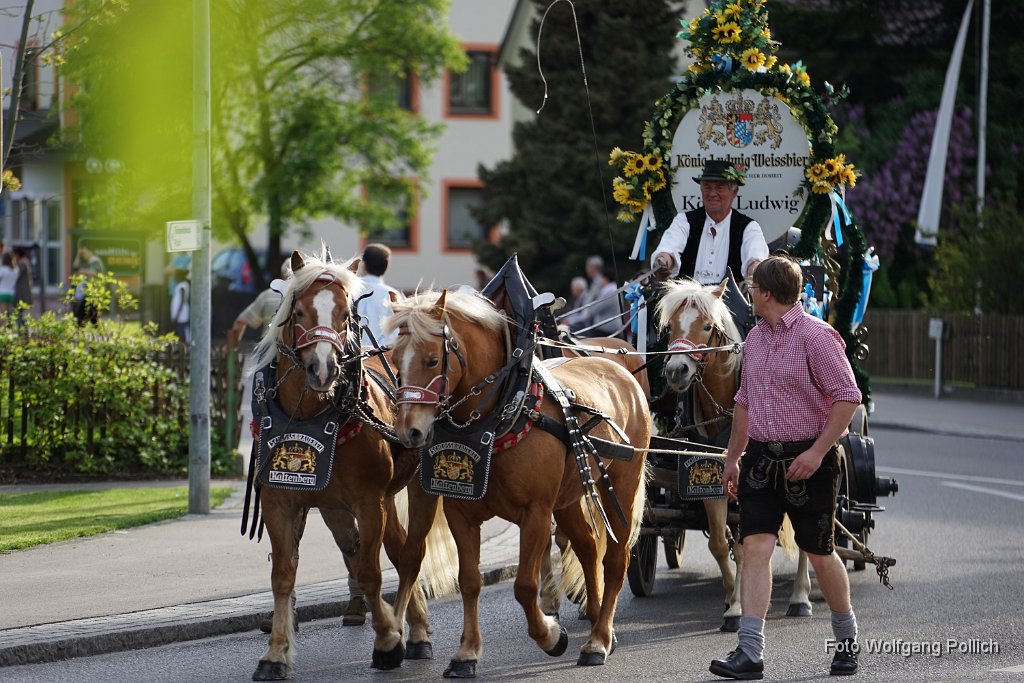 2015-05-08_001_Volksfesteinzug_WP.JPG