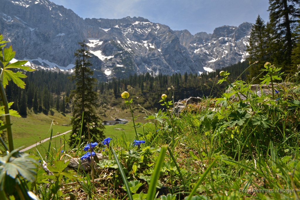2015-05-19_13_Wetterstein-Alm_RM.jpg