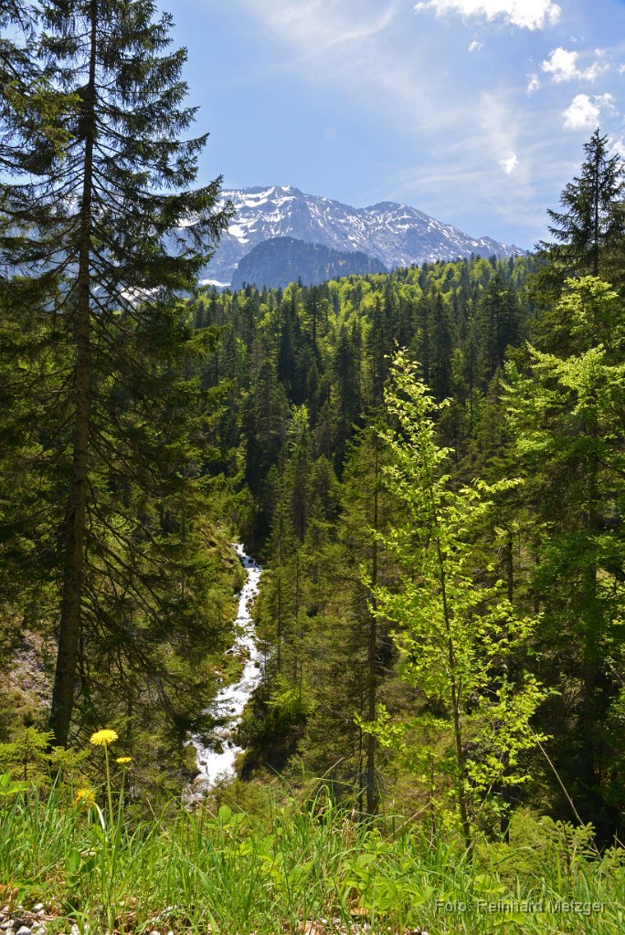 2015-05-19_14_Kaltenbach_Wetterstein_RM.jpg