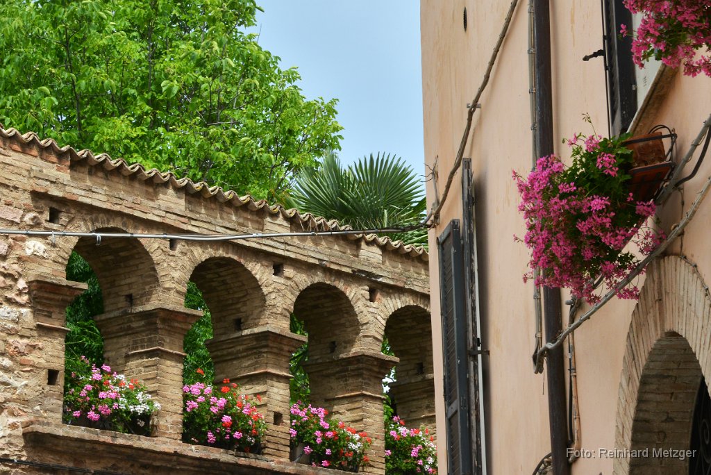 2015-06-13_69_Spello_RM.jpg