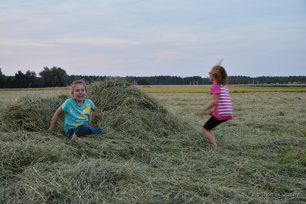 2015-07-11_79_Grillen_Moasawinkler_0170_TU.jpg