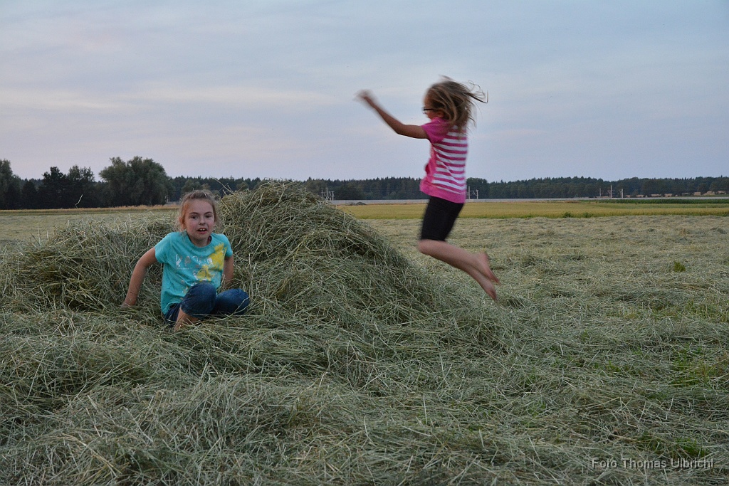 2015-07-11_80_Grillen_Moasawinkler_0171_TU.jpg