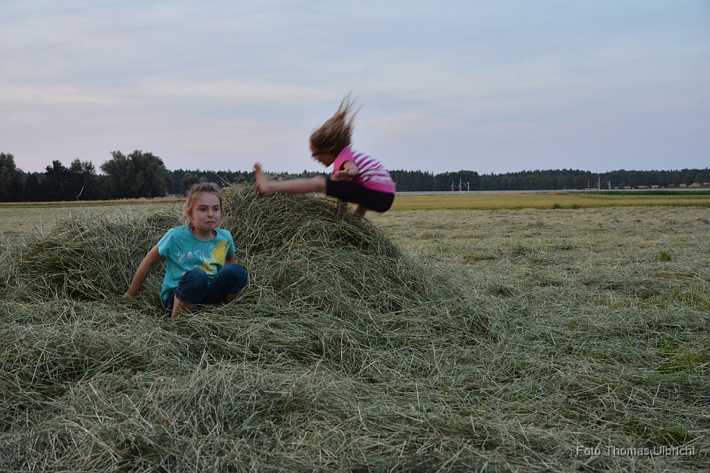 2015-07-11_81_Grillen_Moasawinkler_0172_TU.jpg