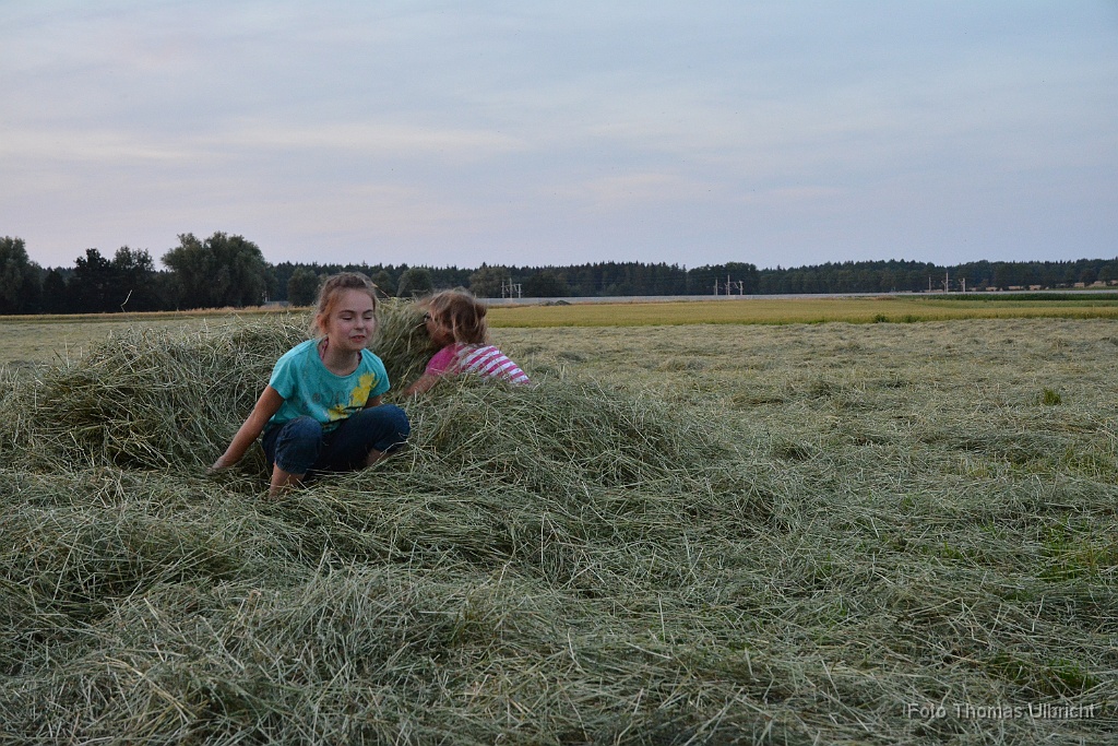 2015-07-11_82_Grillen_Moasawinkler_0173_TU.jpg