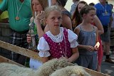 2015-07-19_089_Historisches-Dorffest-Hattenhofen_TF