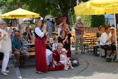 2015-07-19_006_Historisches-Dorffest-Hattenhofen_WP