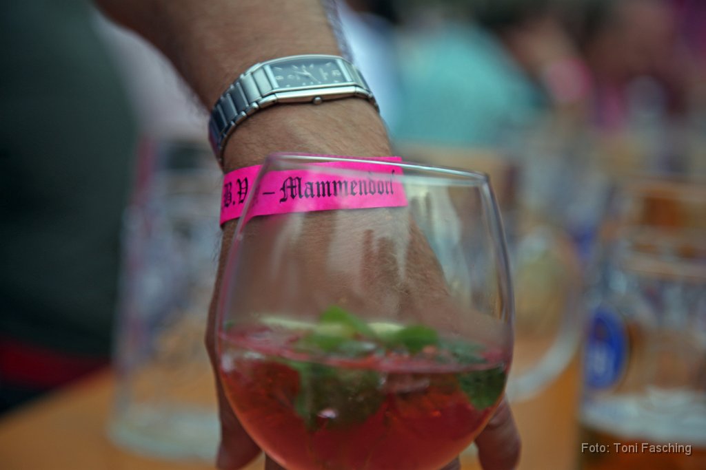 2015-07-26_074_Gartenfest_KBV_TF.JPG