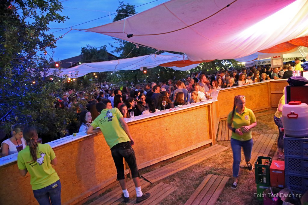 2015-07-26_091_Gartenfest_KBV_TF.JPG