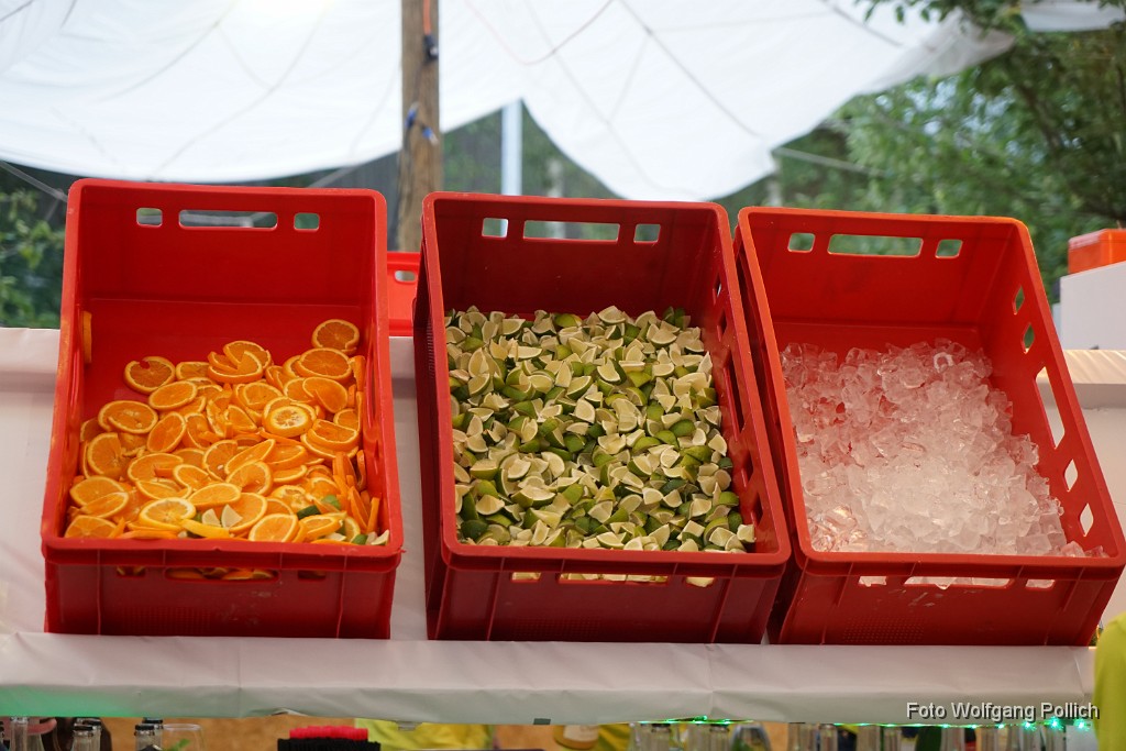 2015-07-26_096_KBV_Gartenfest_WP.JPG