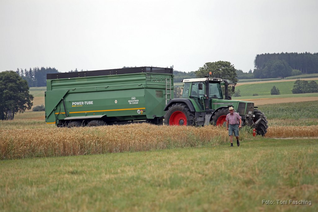 2015-08-01_01_Ernte_TF.JPG