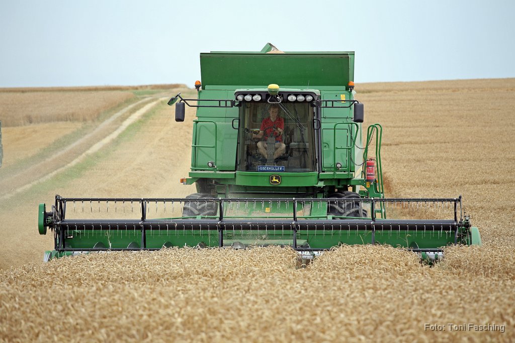 2015-08-01_02_Ernte_TF.JPG