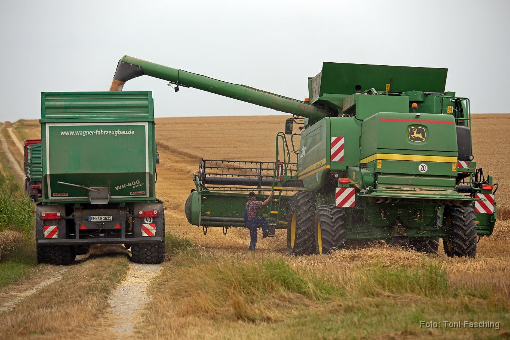 2015-08-01_03_Ernte_TF.JPG
