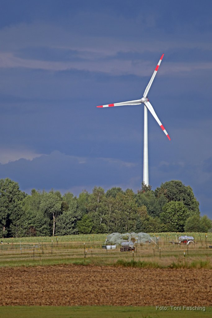 2015-08-16_03_Windraeder_TF.JPG