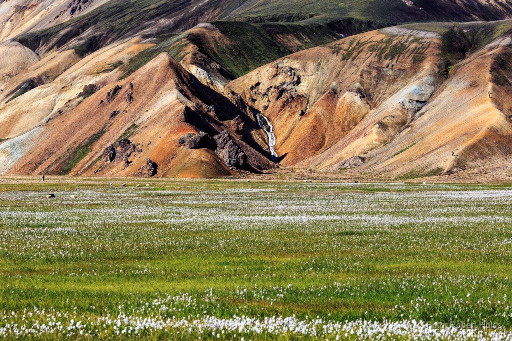 2015-09-30_40_Island_Landmannalaugar_4880_RH.jpg