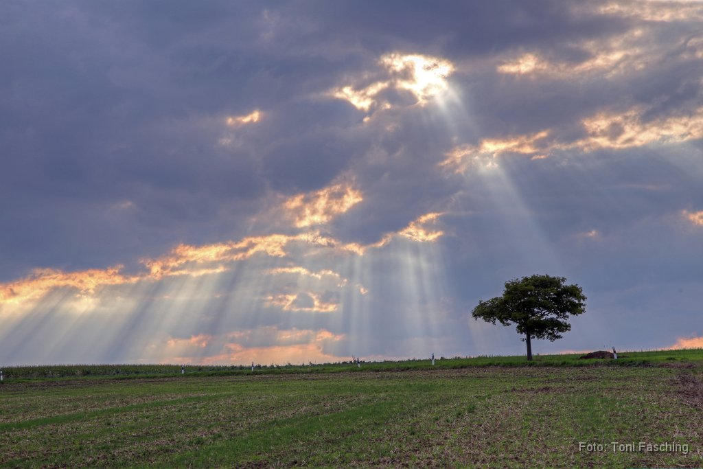 2015-09-04_02_Sonnenuntergang_TF.jpg