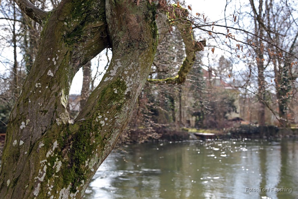 2016-02-24_07_Emmeringer-Hoelzl_TF.JPG