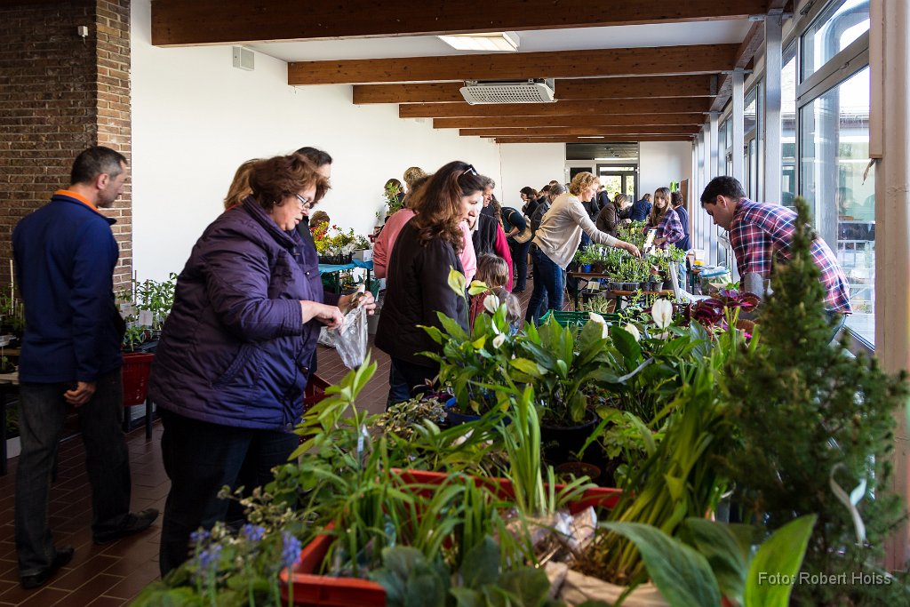 2016-04-30_002_Pflanzenflohmarkt_0383_RH.jpg