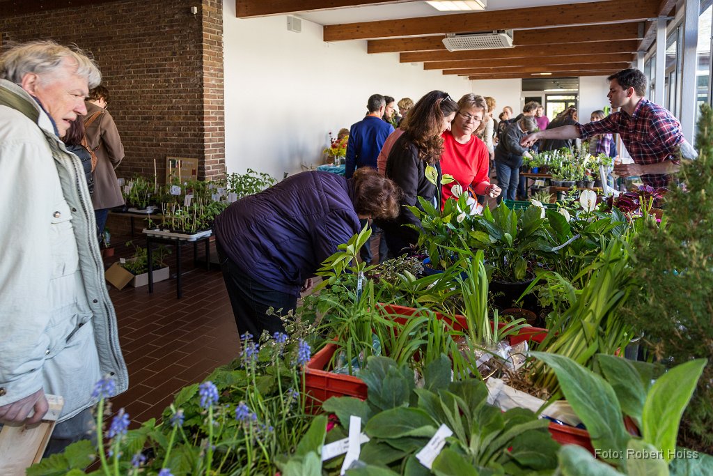 2016-04-30_003_Pflanzenflohmarkt_0384_RH.jpg