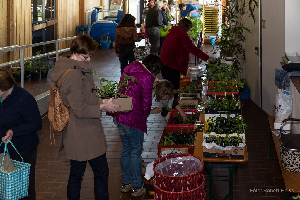 2016-04-30_004_Pflanzenflohmarkt_0386_RH.jpg