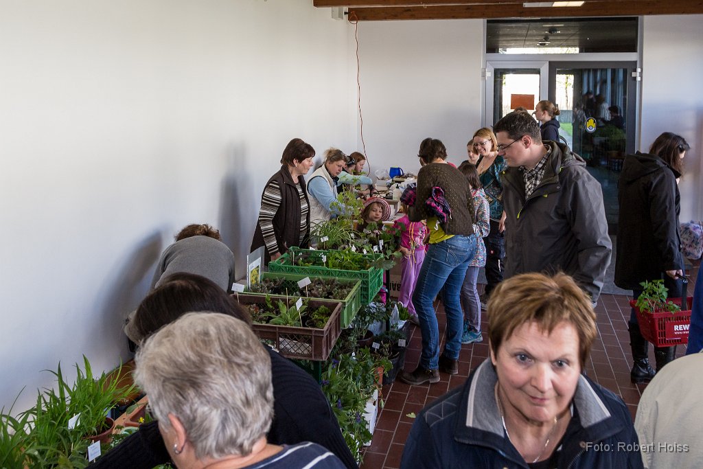 2016-04-30_006_Pflanzenflohmarkt_0388_RH.jpg