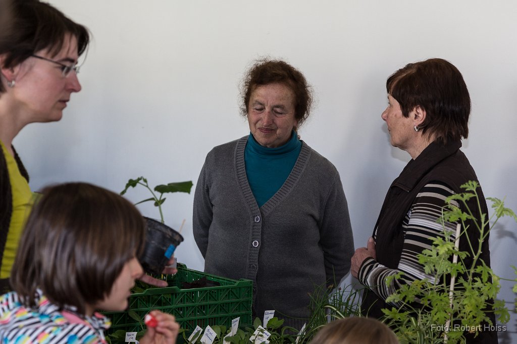 2016-04-30_010_Pflanzenflohmarkt_0399_RH.jpg