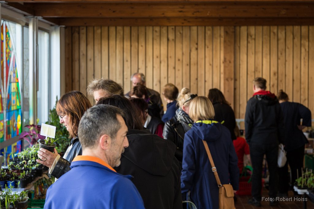 2016-04-30_012_Pflanzenflohmarkt_0402_RH.jpg