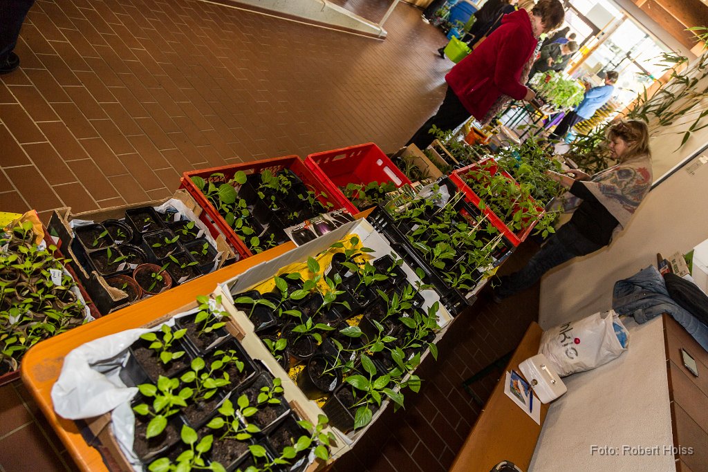 2016-04-30_015_Pflanzenflohmarkt_0409_RH.jpg