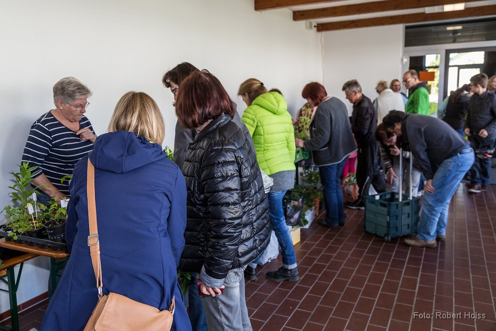 2016-04-30_022_Pflanzenflohmarkt_0421_RH.jpg