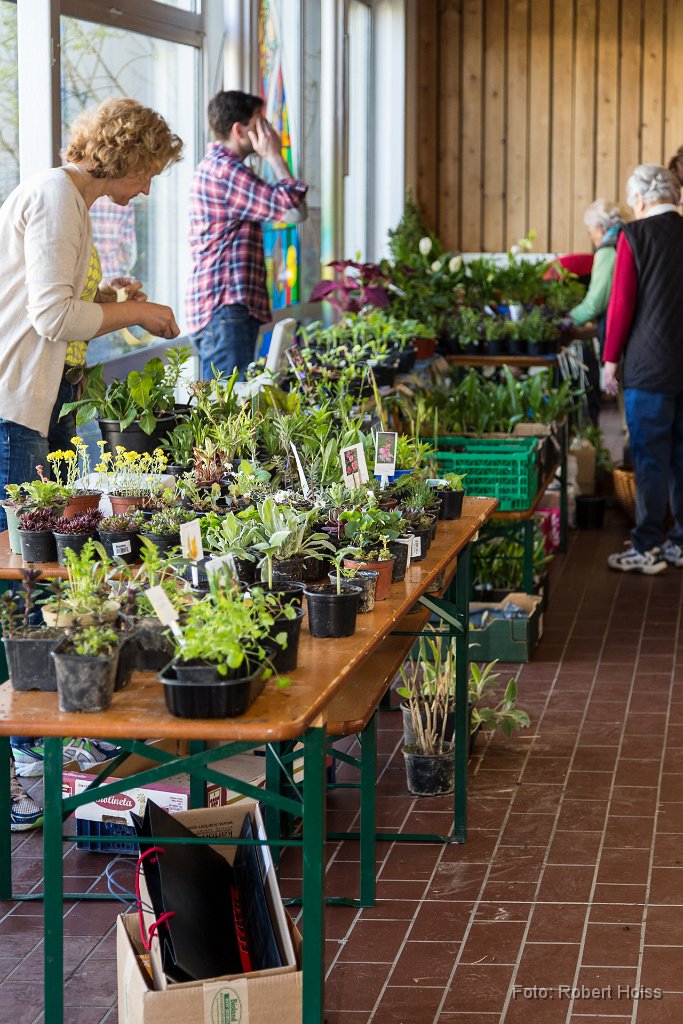 2016-04-30_025_Pflanzenflohmarkt_0427_RH.jpg