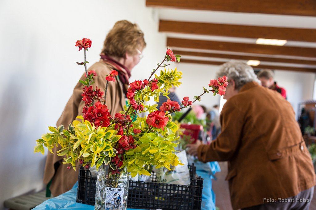 2016-04-30_026_Pflanzenflohmarkt_0428_RH.jpg