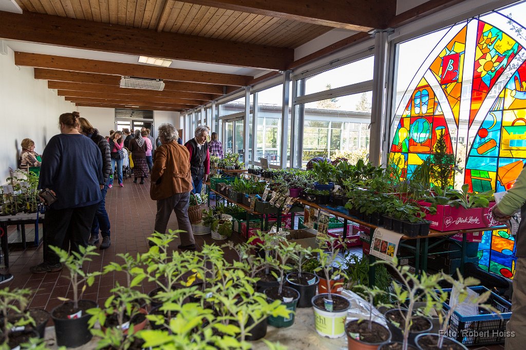2016-04-30_029_Pflanzenflohmarkt_0433_RH.jpg
