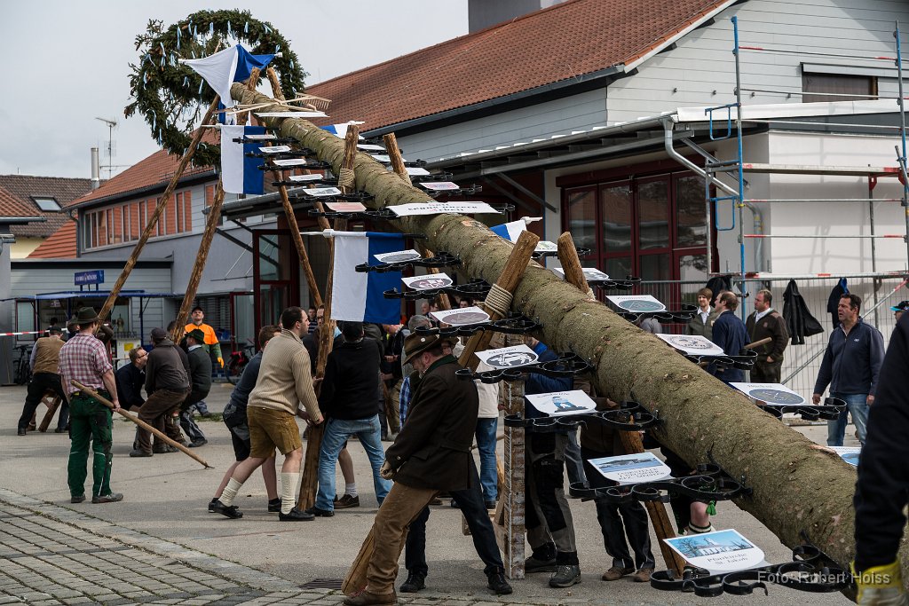 2016-05-01_018_Maibaum_0620_RH.jpg