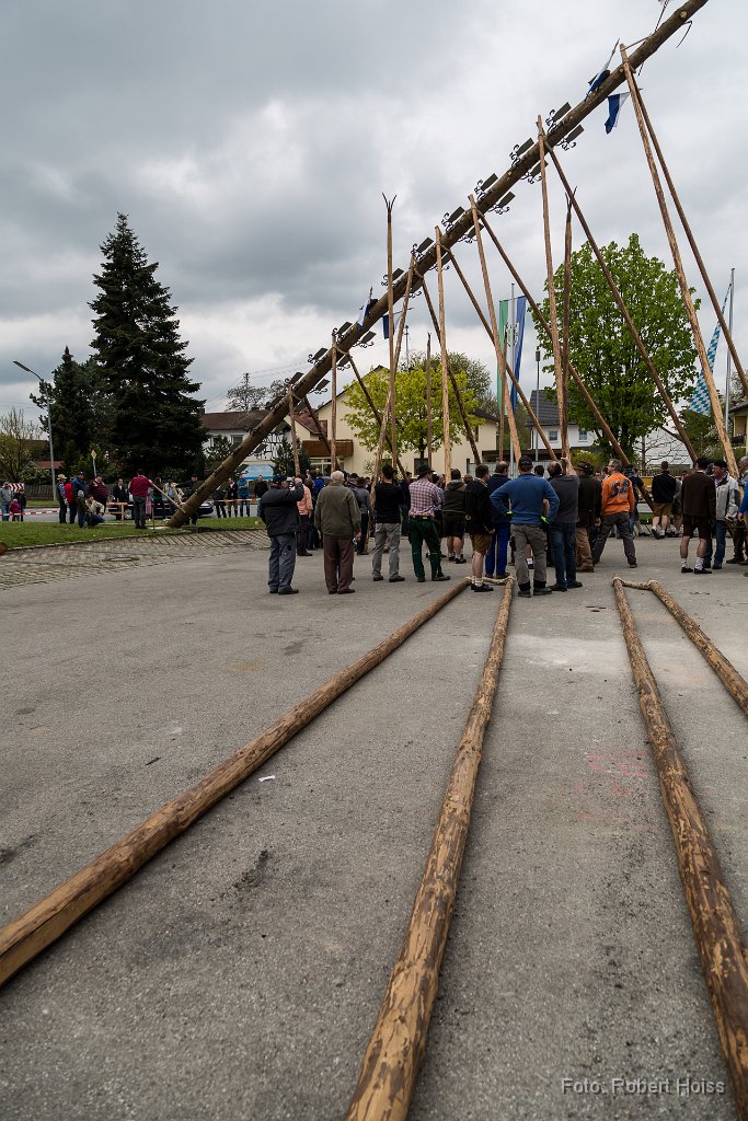 2016-05-01_040_Maibaum_0688_RH.jpg