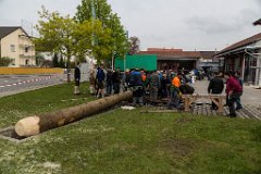 2016-05-01_008_Maibaum_0593_RH